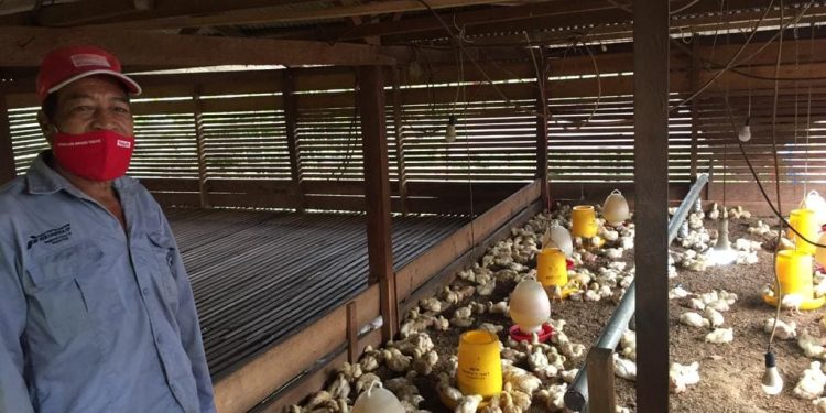 PT Pertamina EP (PEP) Bunyu Field melalui program Kantong Kentungan Peternakan Ayam Broiler yang dikenal sebagai Program Kentungan Pak Abo.